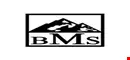بی ام اس