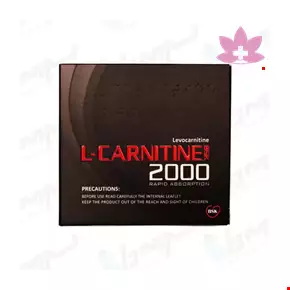 BSK L Carnitine BSK 2000